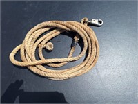 Lead Rope, 20 ft