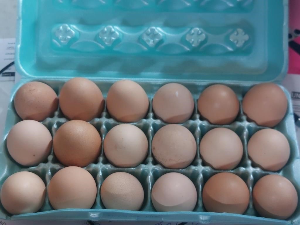 18 farm fresh eggs