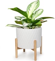 Ladovita Ceramic Plant Pot With Stand, 10 Inch