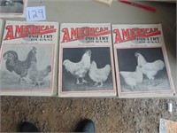 1933 The Americal Poultry Journal