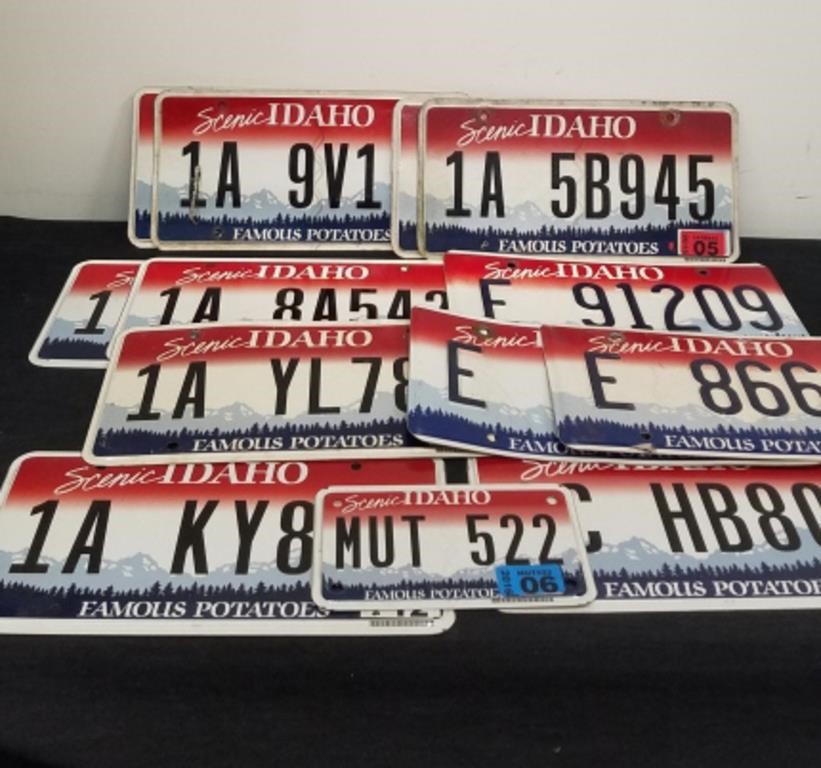 Group of Idaho license plates