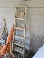 Aluminum Ladder (side yard)