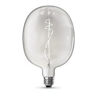 Feit 75 Watt LED Bulb